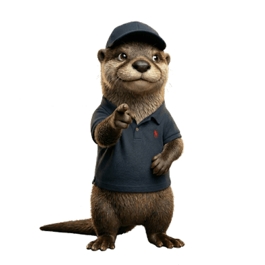 Aqua Otter pointing to services