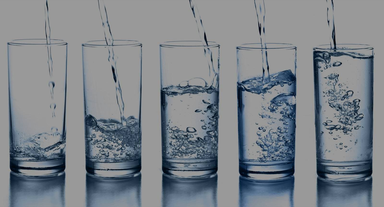 Row of clean glasses